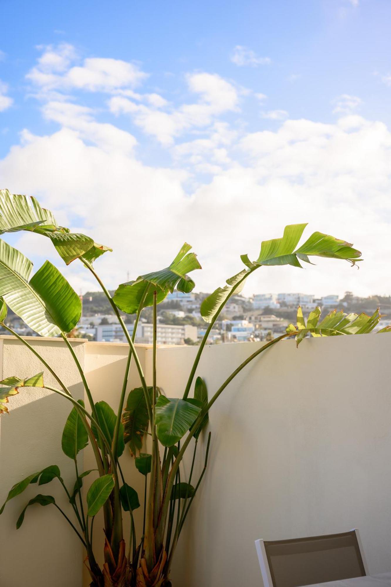 XVI Suites - Adults Only Naxxar Exteriör bild